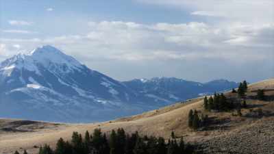 Hayden and his men found a cure - Yellowstone: One-Fifty