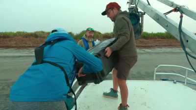 Hayes and the team
move into position. - The Secret Lives of Animals