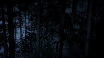 Hayley! - The Originals