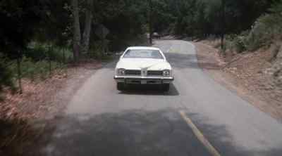 Hazzard County was beginning
to hum like bees - The Dukes of Hazzard