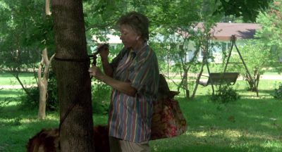 He is a boil on the butt of humanity - Steel Magnolias
