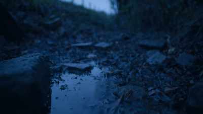 He admitted that
he had buried her body there, - When Missing Turns to Murder