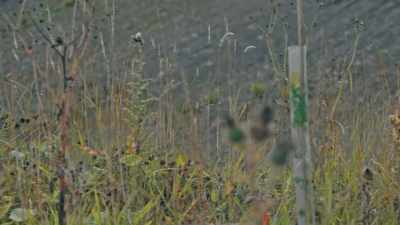 He alluded to me that this
individual was still alive - Murder in the Badlands