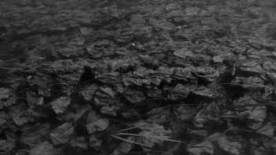 He also has a nightmare - Woodlands Dark and Days Bewitched: A History of Folk Horror