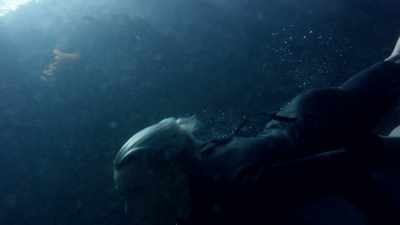 He always lived
like he had nothing to lose. - Breath