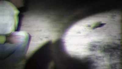 HE ANALYZES THE MYSTERY CREATURE'S MOVEMENT - Strange Evidence