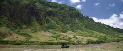 He asked me not to go to the Hukilau.
I'm not going there. - 50 First Dates