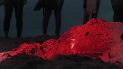 He began to encourage
tourists to visit the beach - Blue Planet II