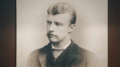 He began to realize that
if he got into government, - Theodore Roosevelt