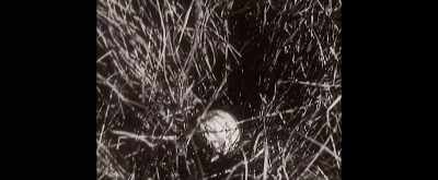 He begged his friends
for a do-over, - The Mulligan