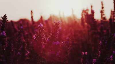 He broke down mindfulness
into an eight-week program, - Is Mindfulness Right for You?