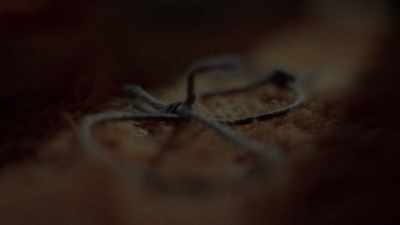 HE BROUGHT PRECUT SECTIONS
OF ROPE WITH HIM. - The Golden State Killer: It's Not Over