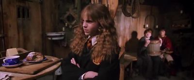 He called me a mudblood - Harry Potter and the Chamber of Secrets