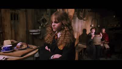He called me a mudblood. - Harry Potter 20th Anniversary: Return to Hogwarts