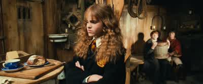 He called me a Mudblood. - Harry Potter and the Chamber of Secrets