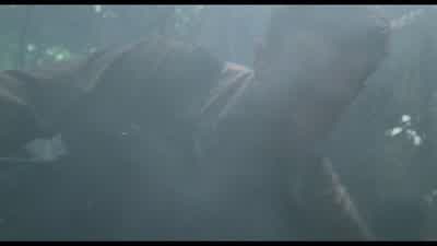 He came in to get the bodyHe's killing us one at a timeLike a hunterHe's using the trees - Predator
