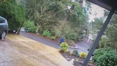 He checks up and down the
driveway for any prying eyes. - Neighborhood Wars