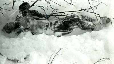 He had collapsed around a small
birch tree - An Unknown Compelling Force