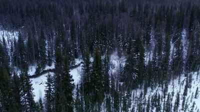 He could be standing 100
yards out there watching me - Life Below Zero: Next Generation