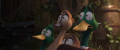 He could catch any prey
with a single swift peck. - Migration