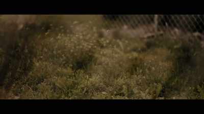 He did a double-take and
went back and realized... - Murder in Big Horn