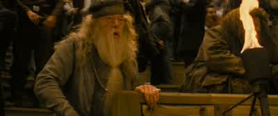 He did it! - Harry Potter and the Goblet of Fire