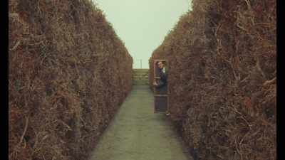 He did not see them
because he had the binoculars to his eyes - The Swan