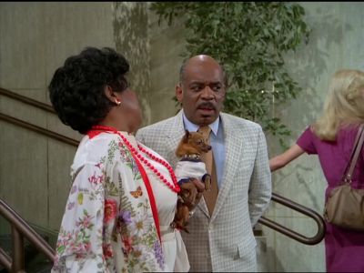 He didn't get lost. - The Love Boat