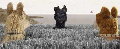 He didn't mean anything by it.
He was just being friendly. - Isle of Dogs