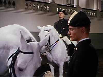 He didn't yell at you. - Miracle of the White Stallions