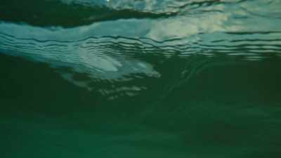 He died while he was spearfishing. - Stories of a Generation - with Pope Francis