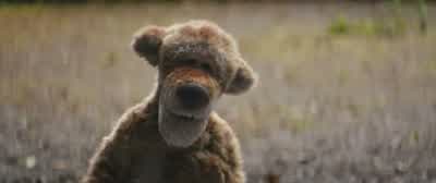 He does that a lot - Christopher Robin