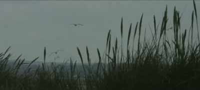 He does not know when or if
the persecution will end, - The Spider's Web: Britain's Second Empire