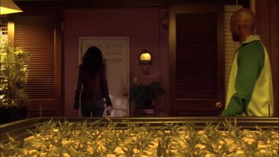 - He doesn't know about you.
- For how long? - Weeds