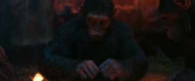 He doesn't know how hard it's been. - War for the Planet of the Apes