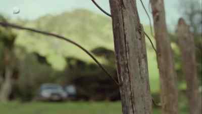 He doesn't love you. - The Brokenwood Mysteries