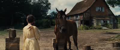 He doesn’t think we can do it. - War Horse