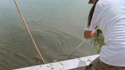      He done lost his thing.
            He's out. - Swamp People