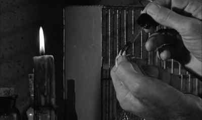 He dosed his birds. After that,
all he could do was hope. - Birdman of Alcatraz