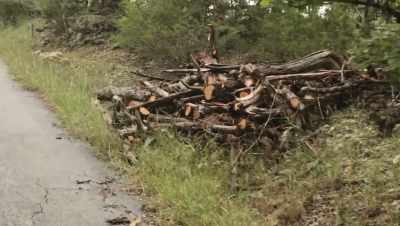 HE DRAGS LOGS
FROM THE GROUND.
LOOK AT THAT. - The Pathological Optimist