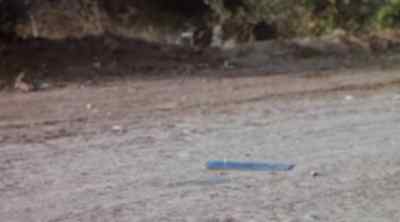 He dropped his license plate. - The Dukes of Hazzard