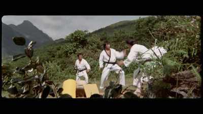'He was especially noted
for his kicking abilities, - The Final Game of Death