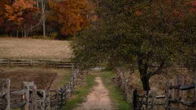 He established the first
home-delivery system - Benjamin Franklin