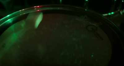 He gets given a demo to give to me, - Creation Stories