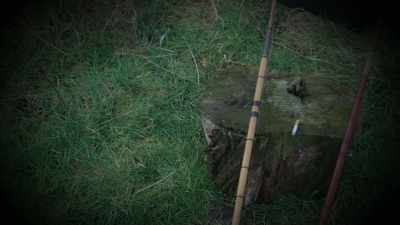 He goes to a local
area for fishing - First Blood
