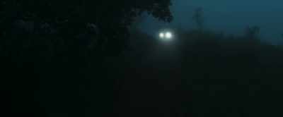 He grew to love the forest,
the mist and the cold... - Churuli