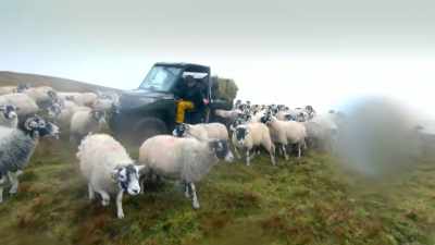 HE GRUNTS - Our Yorkshire Farm
