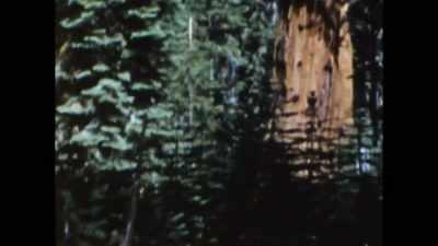 He was happier in the woods, - Captive Audience: A Real American Horror Story