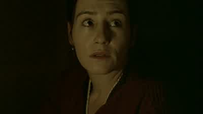 He has a fever. - Downfall