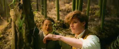 He has some attachment issues. - Fantastic Beasts and Where to Find Them